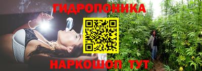 а пвп мука Кандалакша