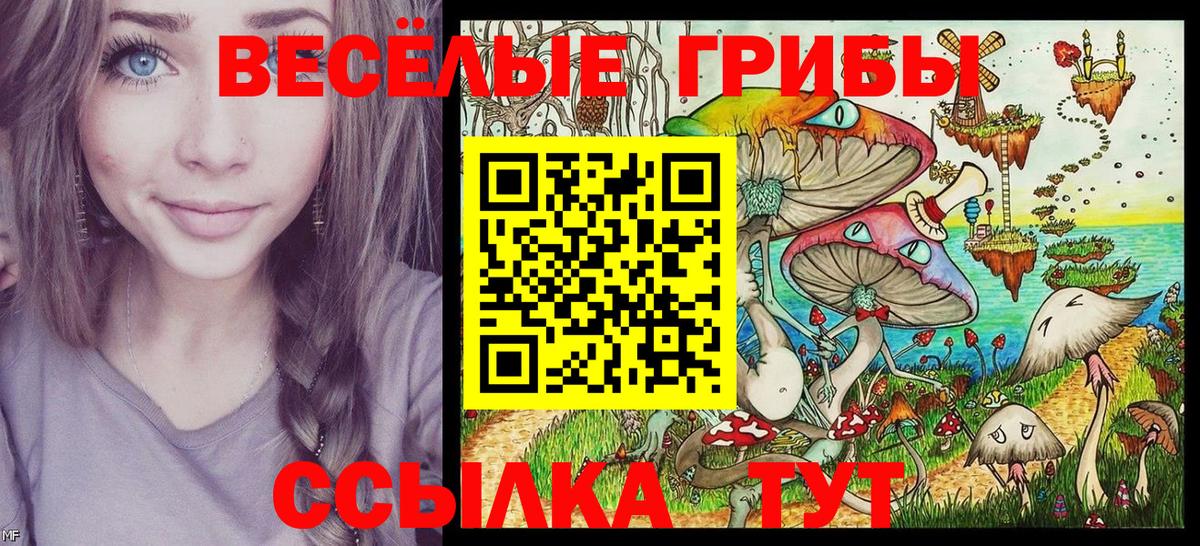 Кулебаки  Галлюциногенные грибы GOLDEN TEACHER  Псилоцибиновые грибы Psilocybe  Вход с VPN 